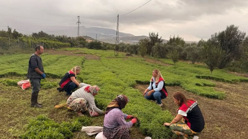 Menemen’de sebzelerde kalıntısız üretim için denetimler artıyor