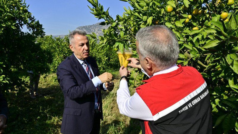 İzmir Valisi Süleyman Elban’dan tarıma destek: Akdeniz sineğiyle ortak savaş