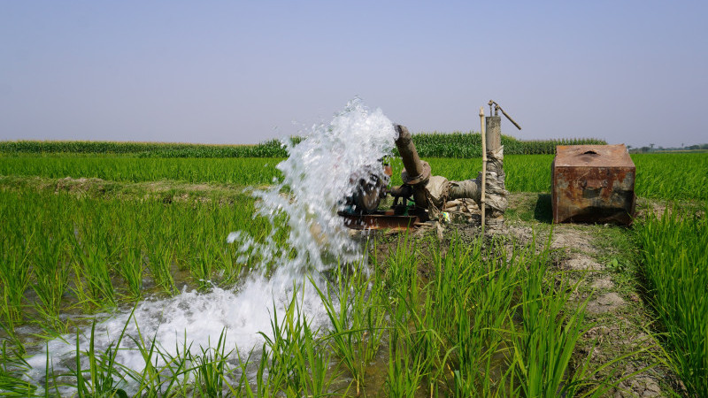 Menemen Ovası'nda deniz suyu yeraltı sularına karışıyor iddiası!