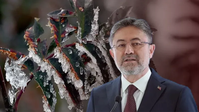 Tarım ve Orman Bakanlığı’ndan zirai don desteği açıklaması!