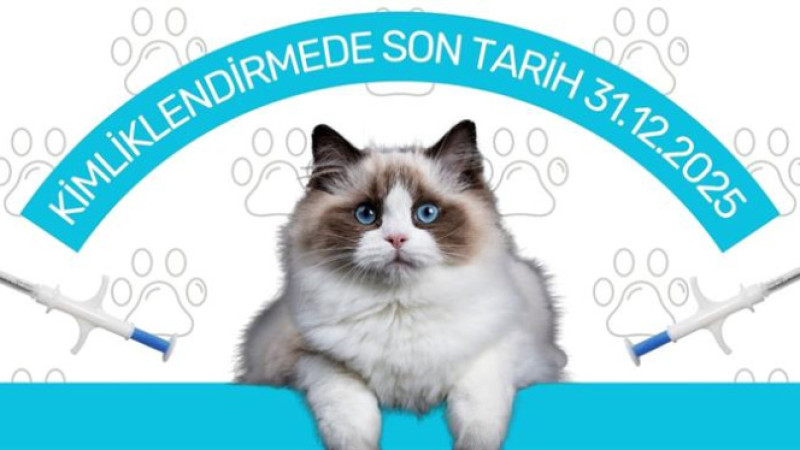 Sahipli hayvanların kimliklendirilmesi için son tarih: 31 Aralık 2025