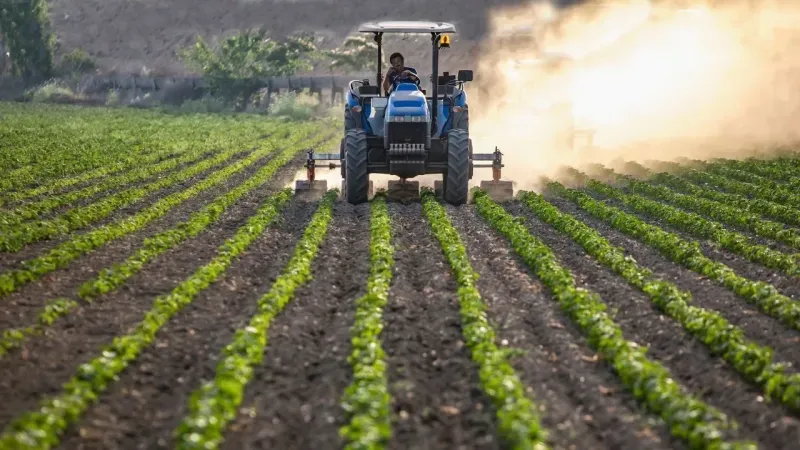 İzmir’de ÇKS başvuruları için son tarih 31 Aralık 2025!