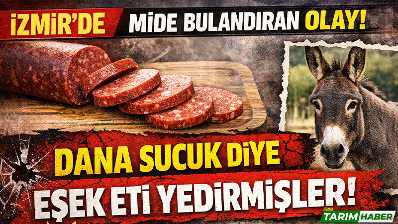 Torbalı’da dana sucuk diye eşek sucuğu satılmış!