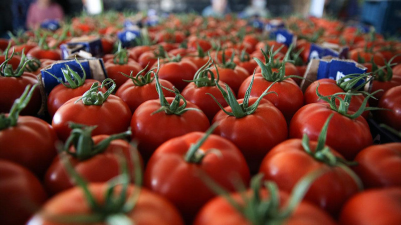 Domates ve sebzede rekor fiyat patlaması! Antalya hali verileri korkuttu