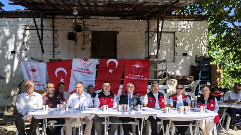 Bergama’da 30 dekarlık alanda sorgum sudan otu başarısı