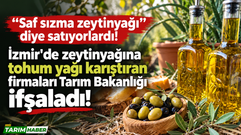 İzmir'de tohum yağını zeytinyağı diye satanlar suçüstü yakalandı